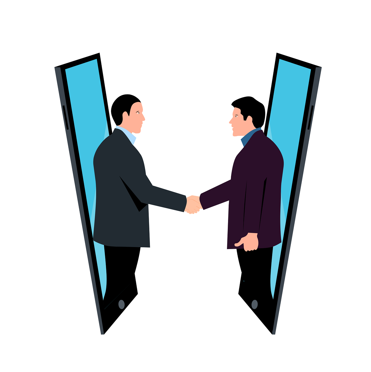 SELECCIÓN POR VIDEOLLAMADA